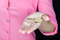 Header image for HonestDoor